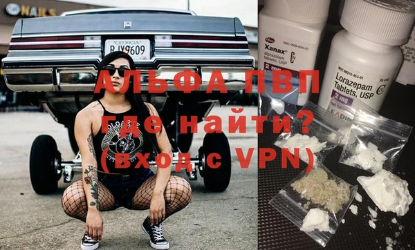 шишки Богородицк