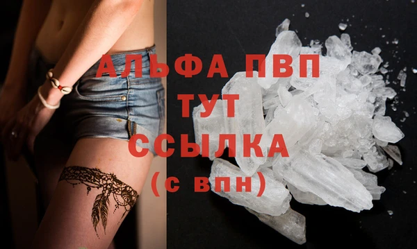 эйфоретик Белокуриха
