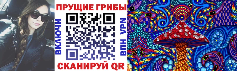 купить   Ачхой-Мартан  Псилоцибиновые грибы прущие грибы 